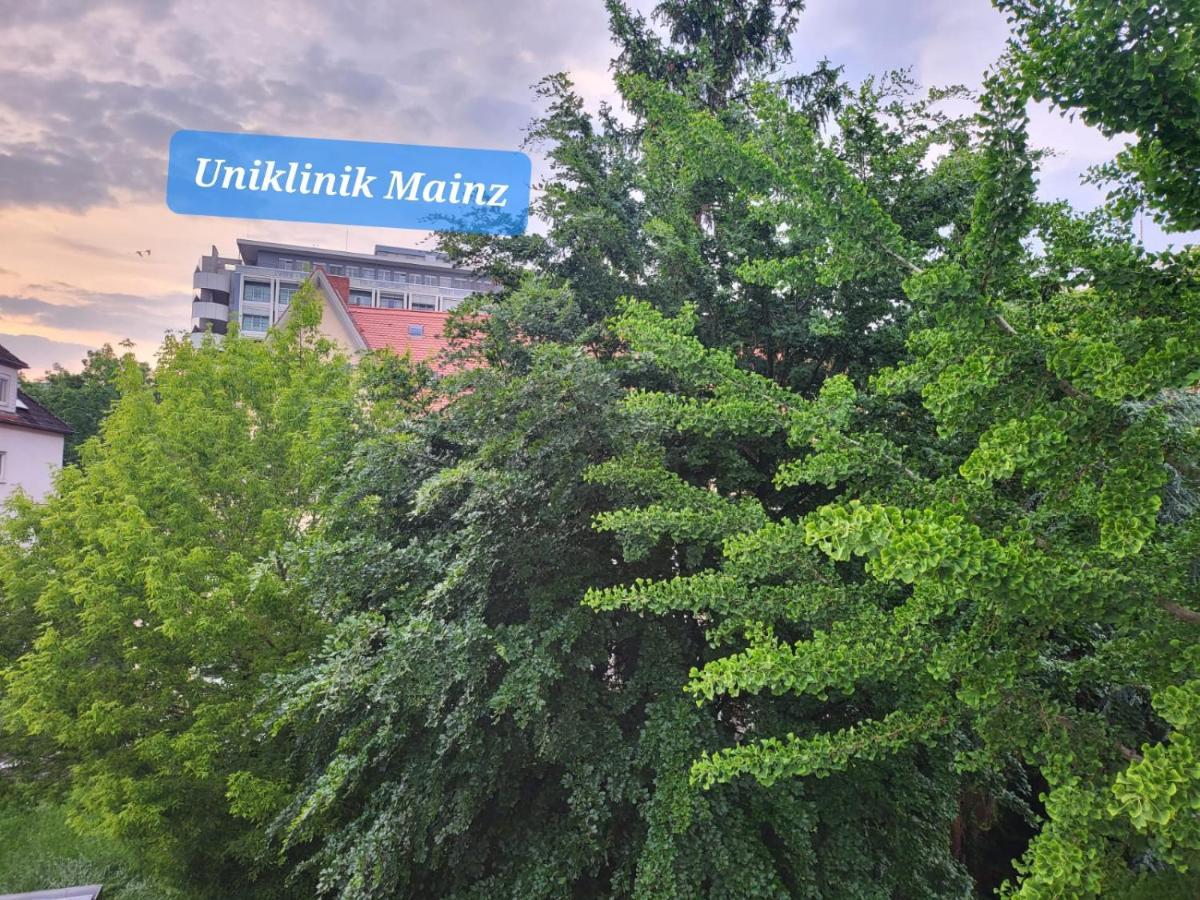 Privatzimmer Im Schlesischen Viertel - Nahe Uniklinik Mainz Bagian luar foto